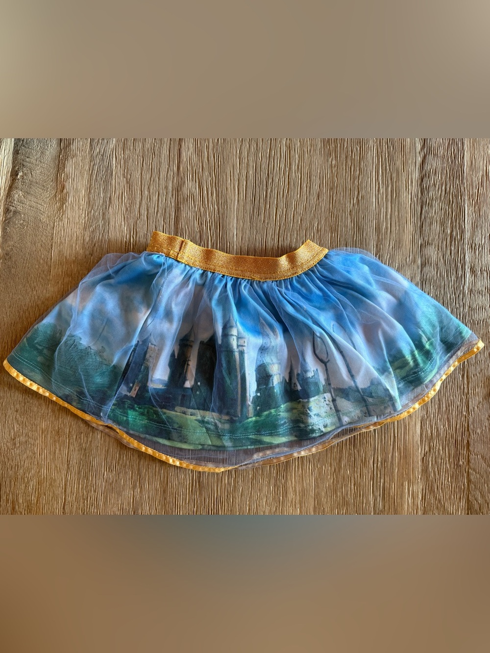 Harry Potter Warner Bros. Blue & Gold Girls' Skater Tulle Skirt